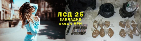 a pvp Аркадак