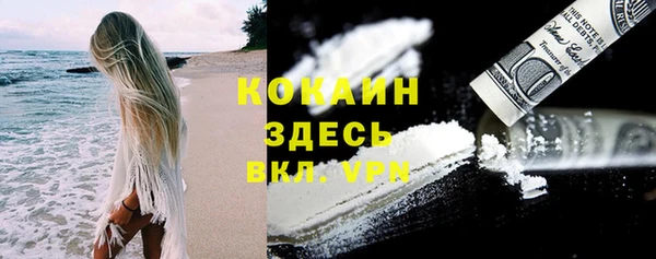 a pvp Аркадак