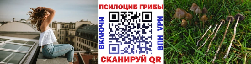 shop как зайти  где купить   Миллерово  Галлюциногенные грибы прущие грибы 