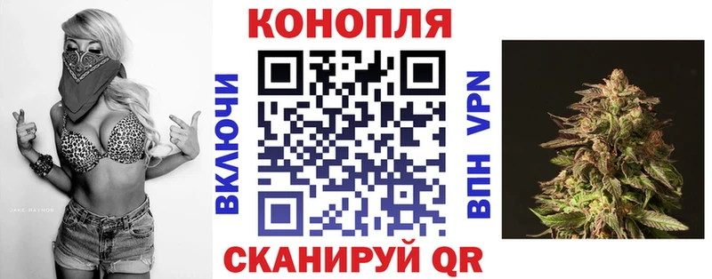 Каннабис OG Kush Миллерово